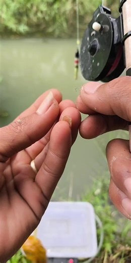 Mancing Wader Tanpa Kail: Tips Santai dan Sabar