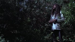 1984-Las aventuras de Buckaroo Banzai