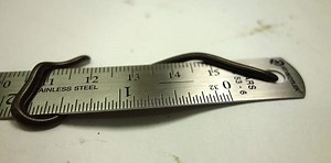 «بربادوس».. أصغر ثعبان في العالم يشبه «المكرونة الإسباجتي»: يلدغ البشر أحيانًا - المصري لايت