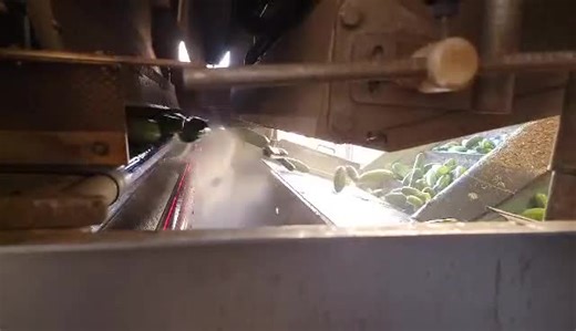8.1K views · 270 reactions | Pickle Pals check out this slow motion video of our Optical Sorter at the grading shed in West Texas! It uses lasers to capture images and air to reject any product that doesn't meet the specification. #bestmaidpickles #bestmaid #pickles #cucumbers #farming #westtexas | Best Maid Pickles | Facebook