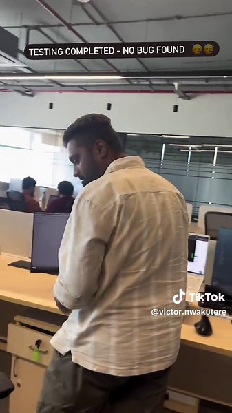 Coding Joy: Exploring Software Development Creativity