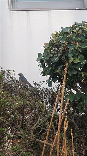 Come with turning on the turn signal #parkjihyeon