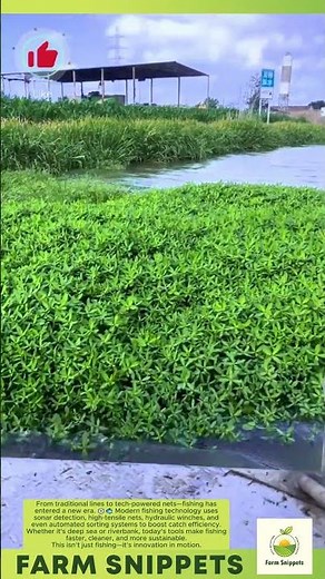 Modern Fishing Technology: Precision Meets the Water