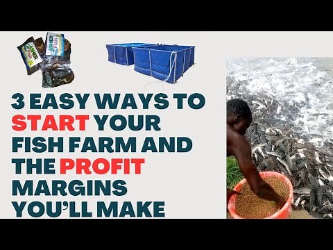 3 EASY WAYS TO START A FISH FARM AND THE PROFIT MARGINS