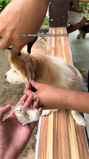 Adorable Dog Keychain Designs for Fur Babies