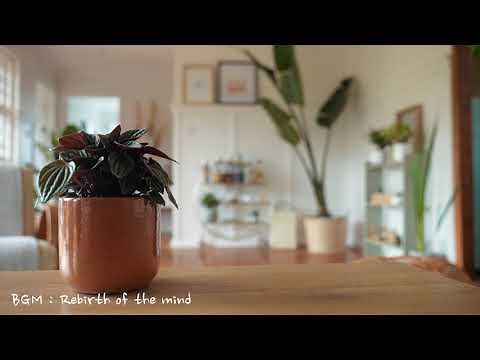 【フリーBGM】映像のスライドショー向けのピアノ楽曲「Rebirth of the mind」