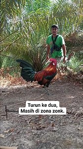 4.1K views · 121 reactions | Zonk lagi dan lagi. #sorotan | Bang Saragih | Facebook