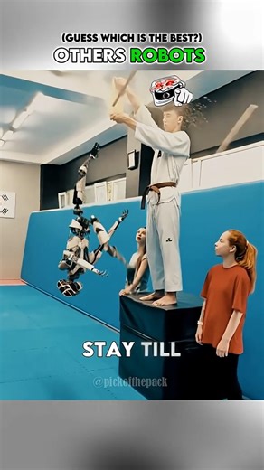 Other Robots VS This One