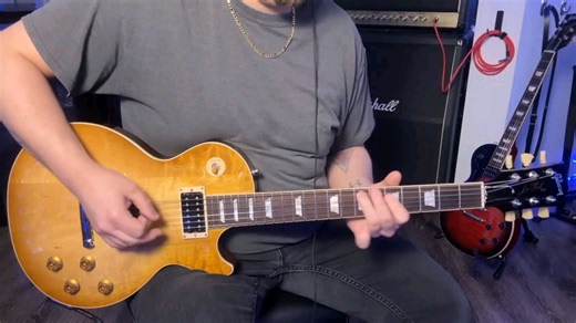 Slash蛇穴Snake pit.超屎味爆炸 我有一身反骨《Mean Bone》硬摇滚全曲演绎。