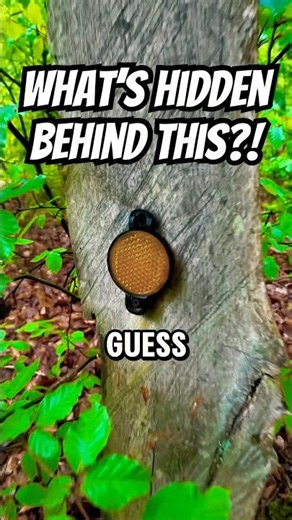 Which object is it hidden behind? 👀 Did you pick the right object the first time you watched? 😳