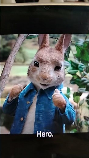 peter rabbit movie intro