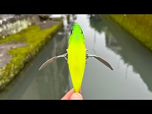 Catfishing with a banana-like lure