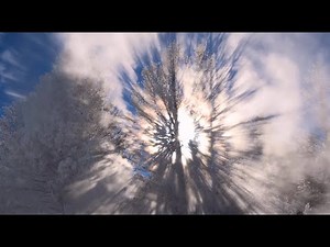 DREAMLAND - zero-project