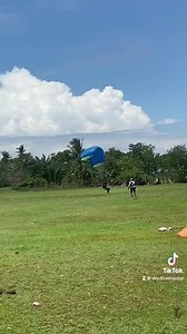 12K views · 356 reactions | Skydive Siquijor on Reels | Facebook