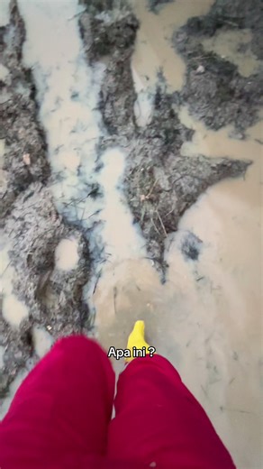 Women in Engineering: A Look at Wireline Engineering