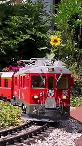 Late Summer Garden Railway 🚆😺 #gardenrailway #gartenbahn #lgb