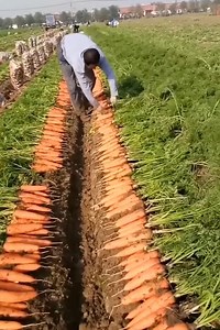 Great human creativity in life and work #diy #craft | Kid Crafts