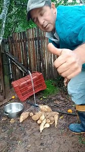 1.1K views · 76 reactions | Uma boa noite atodos meus amigos | Vanderlei De Araujo Da Silva | Facebook