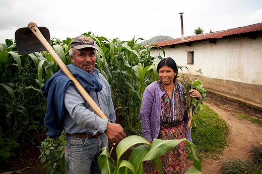 About Us - Global Partnerships