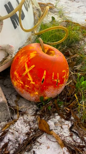 2.4K views · 61 reactions | Florida Lifes~李 Longboat Key, Florida | Follow Me To Longboat Key | Facebook