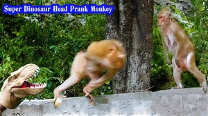 1.7M views · 20K reactions | Wow Dinosaur Head Prank On Monkey Funny Video. | JingPrank | Facebook