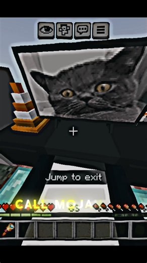 Minecraft Cat on TV caught 4K 📸 #shorts