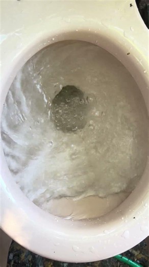 Coral pink 1959 “Standard” Cadet dry bowl test!