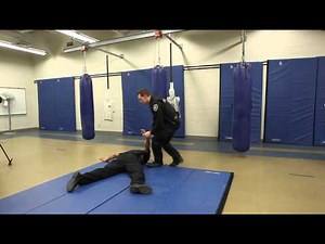 Police demonstrate use of force