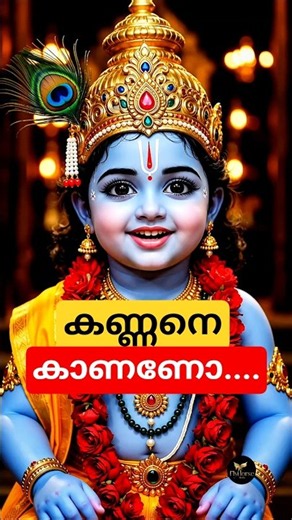 കണ്ണനെ കാണണോ നിങ്ങൾക്ക് | ഇനി ഗുരുവായൂർ വരുമ്പോൾ നോക്കൂ.. |Guruvayur | Krishna