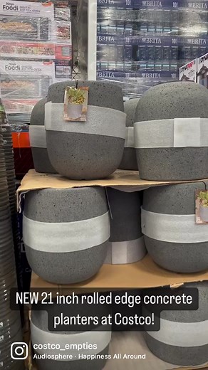 21-Inch Rolled Edge Concrete Planters at Costco