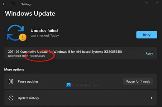 Fix 0xCA00A009 Windows Update Error