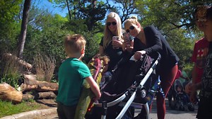 Dallas Zoo - DINOS AT THE DALLAS ZOO: The past is making a...