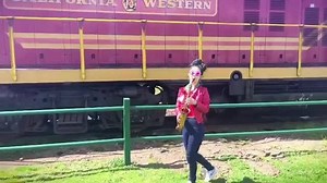 2.5K views · 108 reactions | All aboard the historical Skunk Train ...