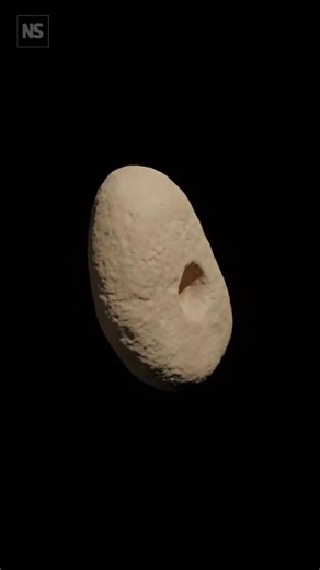 12,000-year-old stones may be oldest example of wheel-like tools ⚙️🪨 A set of excavated 12,000-year-old pierced pebbles excavated may be the oldest known hand-spinning whorls – a textile technology that may have ultimately helped inspire the invention of the wheel. Serving as a flywheel at the bottom of a spindle, whorls allowed people to efficiently spin natural fibres into yarns and thread to create clothing and other textiles. The newly discovered stone tools represent early axle-based rotat