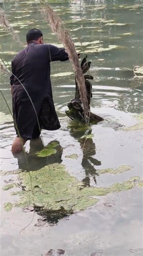 Sad Sight: Dead Bird Found in the River 😔