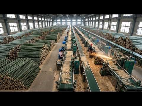 China's Manufacturing: Millions of Bamboo Trees Are Being Turned Into Bamboo Straws and Spoons