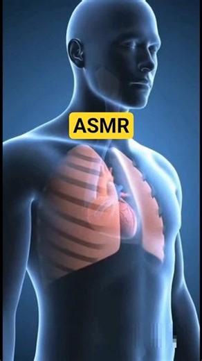 What’s Really Inside the Human Chest? 😱2. Inside the Human Body 3D Animation #vranatomy #hemianopia