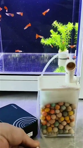 DIY Bio Filter. #aquarium #aquasetup #diyfishtank