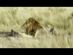 Camp Moremi May 2023