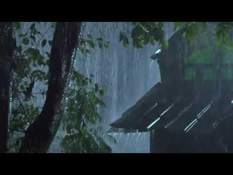 INSTANT DEEP SLEEP: Heavy Rain & Thunder Sounds for Insomnia, Stress Relief, & Study.