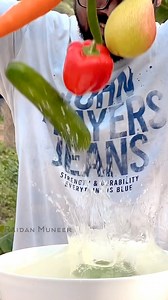 97 reactions · 36 comments | Avocado Salad For weight Loss അവക്കാഡോ സലാഡ്.  @raidan_muneer .Ingredients:.. vegetables… green cucumber, carrot , green chili, onion , lettuce,red bell pepper, coriander leaves,Fruits.. pear, green apple, pomegranate, For salad dressing.. avocado, curd , honey, salt Crushed black pepper, olive oil #reels #salad #healthyfood #avocado #indianfoodie #raidanmuneer | Raidan muneer | Facebook