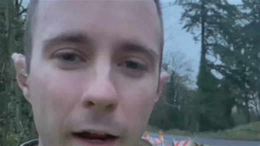 West Linn loses power after large tree crashes down onto power lines