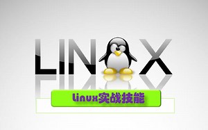 Linux实战技能（第二部分，完结）