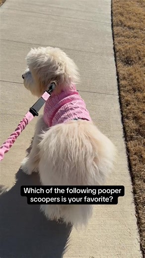 If you have a dog, you have to pick up poop. Which one of these shown pooper scoopers is your favorite way to pick up dog poop? #dogsoftiktok #pooperscooper #dogpoop #petproducts #dogs