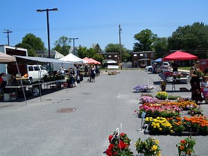 What You Can Get at the Farmers Market Today