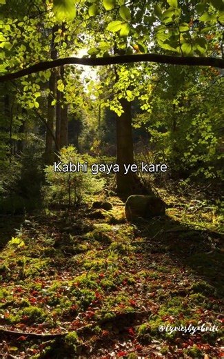 Try With Your Own Voice Song: Mann Mera ✨💗 #lyrics#videos#music#akritilyrics#shorts