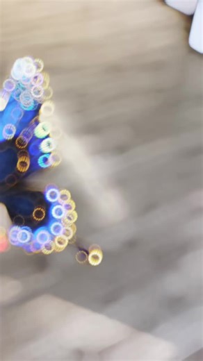 Exploring the Beauty of Blue Butterflies