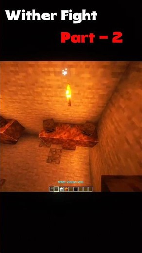 The Ultimate Wither Battle 😳💀