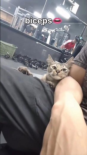 5 Dumbbell Biceps Exercises for Beginners 💪 | Easy Home Workout #sahilverse #beginners