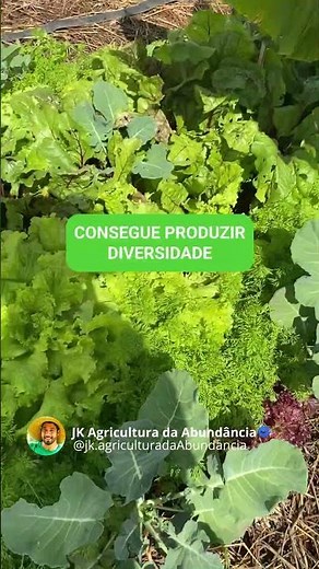 PORQUE FAZER O CONSÓRCIO DA ABUNDÂNCIA